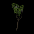 /album/objets/thumbnail-128x128-072-png/